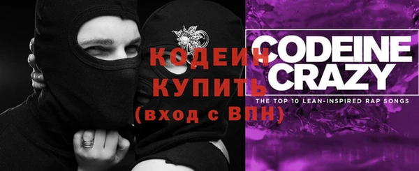 молекула духа Бронницы
