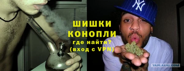молекула духа Бронницы