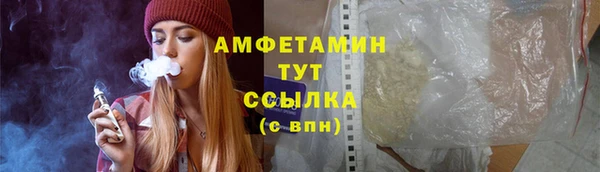 шишки Богородицк