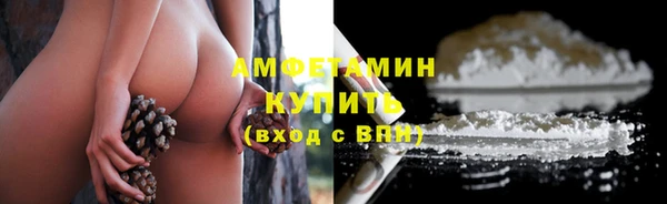 шишки Богородицк