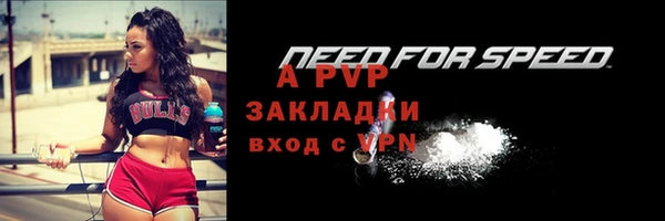 шишки Богородицк