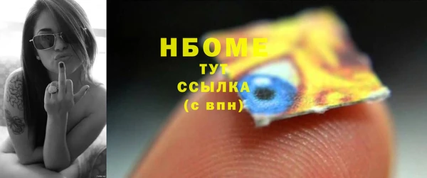 сатива Тайга