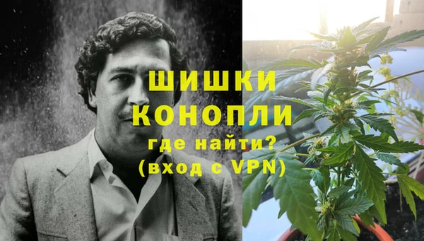 молекула духа Бронницы