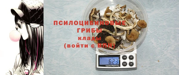 молекула духа Бронницы